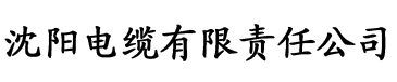 香蕉欧美成人精品a∨在线观电缆厂logo